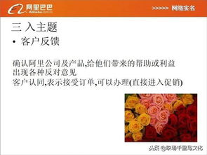 澳门王中王100%期期中MN|多方面的支持计划与实施_客户版.6.125